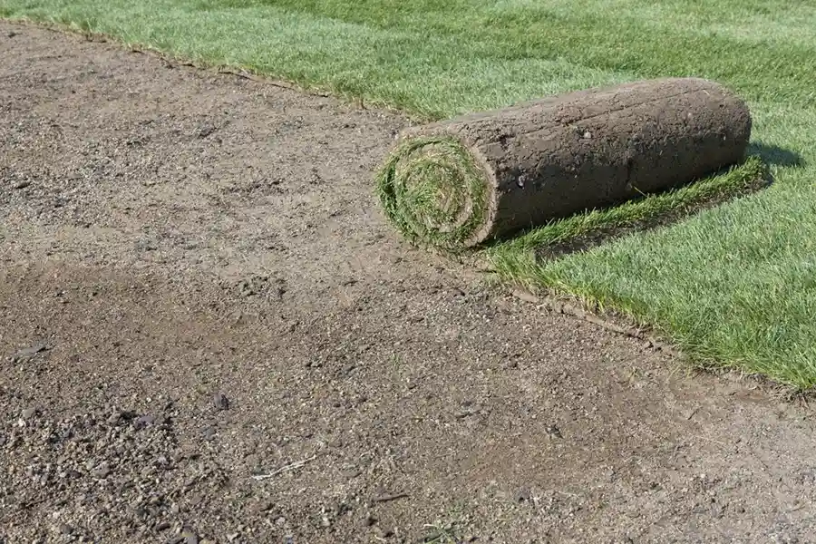 Reliable Sod Installation Sod Installation